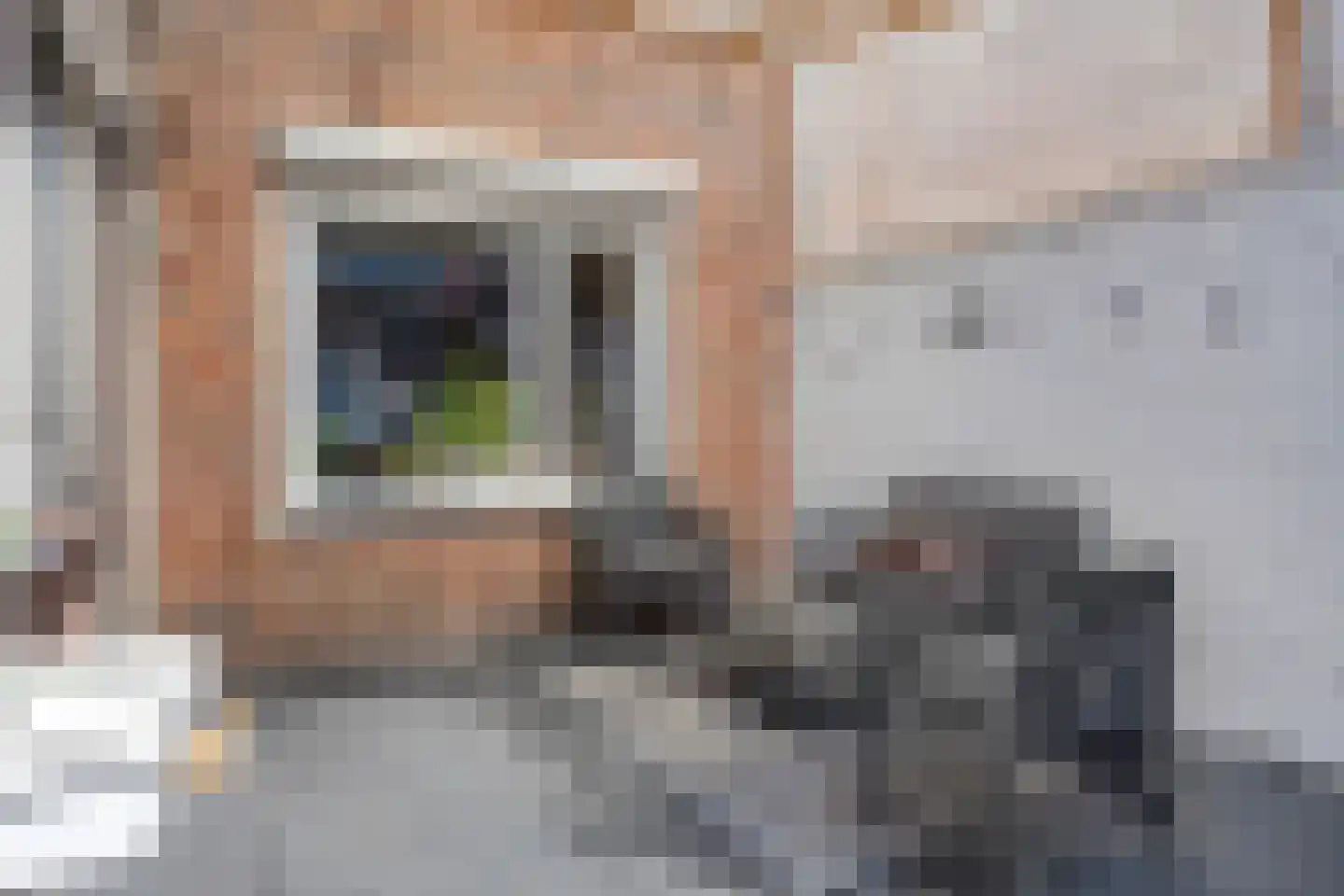 Ratelaarstraat 28 Bergen op Zoom thumbnail 32
