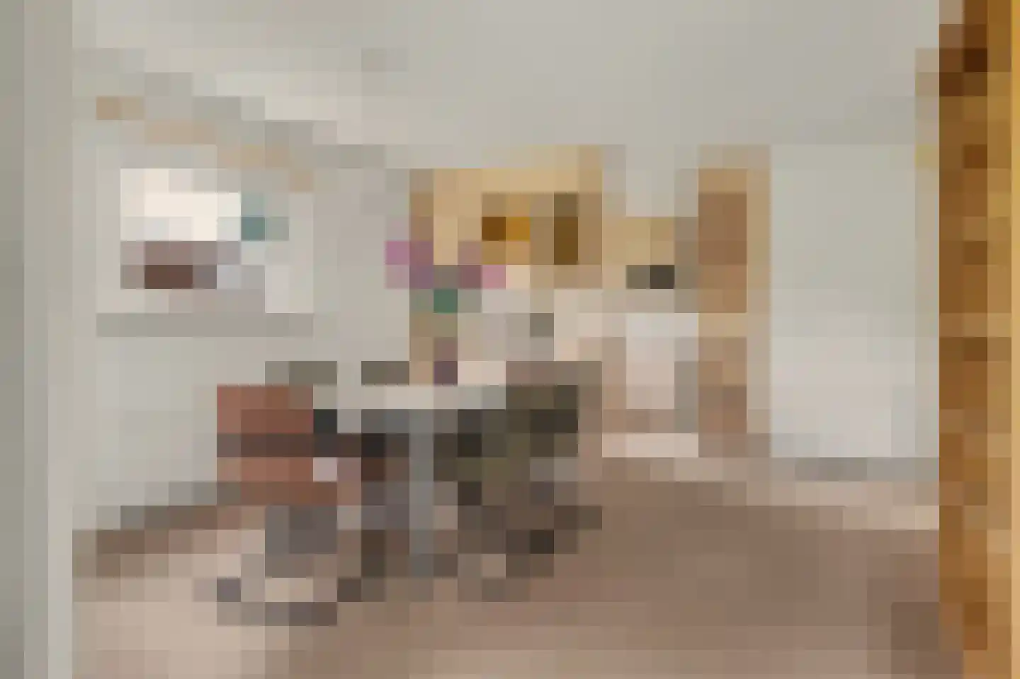 Ratelaarstraat 5 Goes thumbnail 11