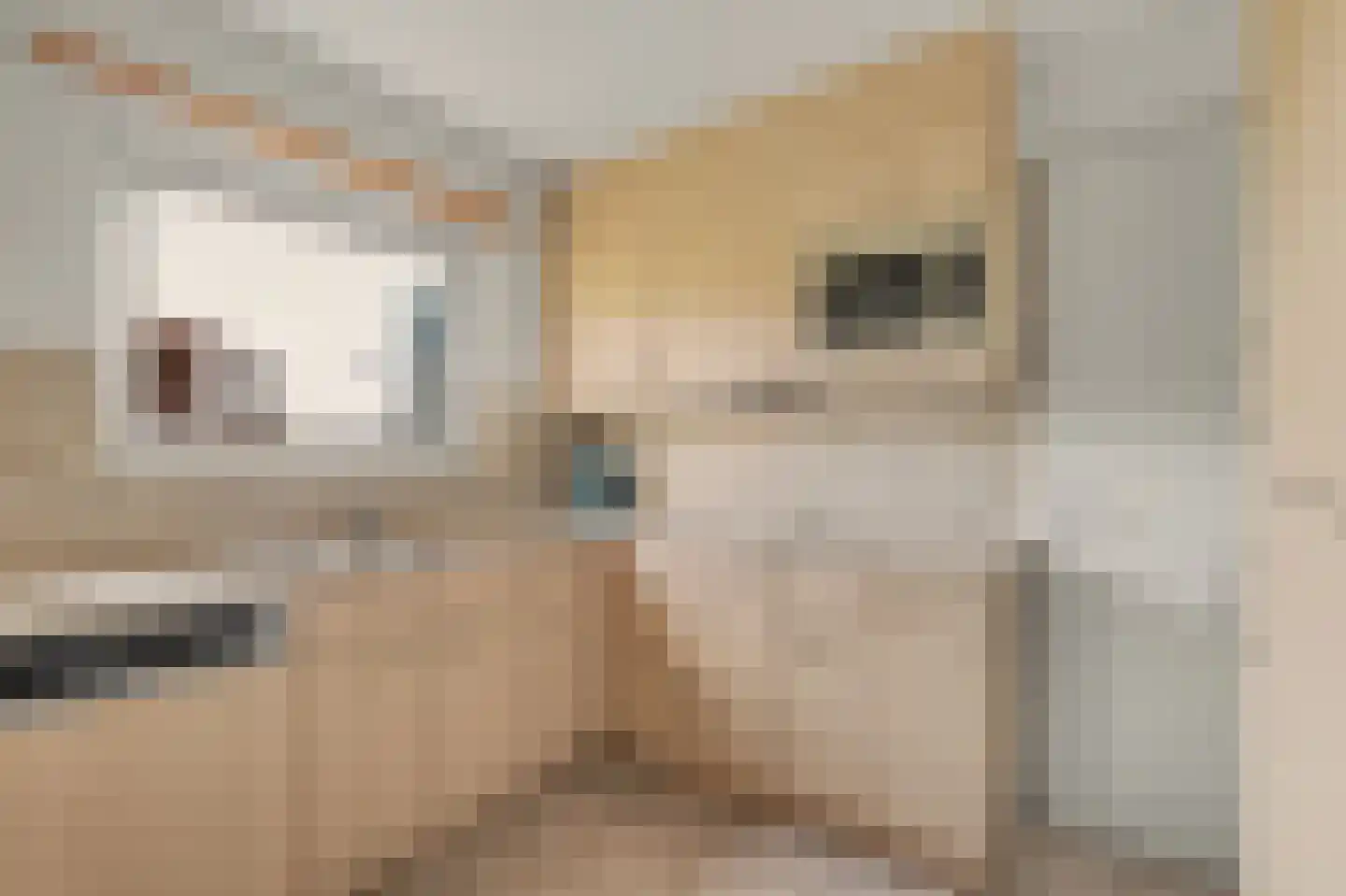 Ratelaarstraat 5 Goes thumbnail 12