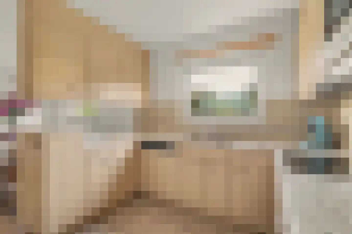 Ratelaarstraat 5 Goes thumbnail 13