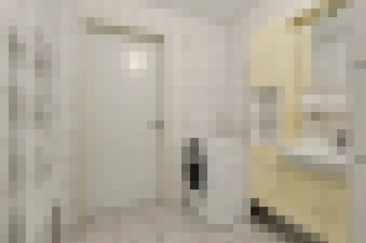 Ratelaarstraat 5 Goes thumbnail 21