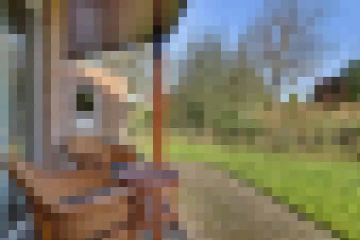 Ratelaarstraat 5 Goes thumbnail 25