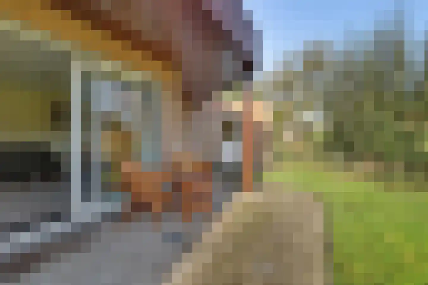 Ratelaarstraat 5 Goes thumbnail 26