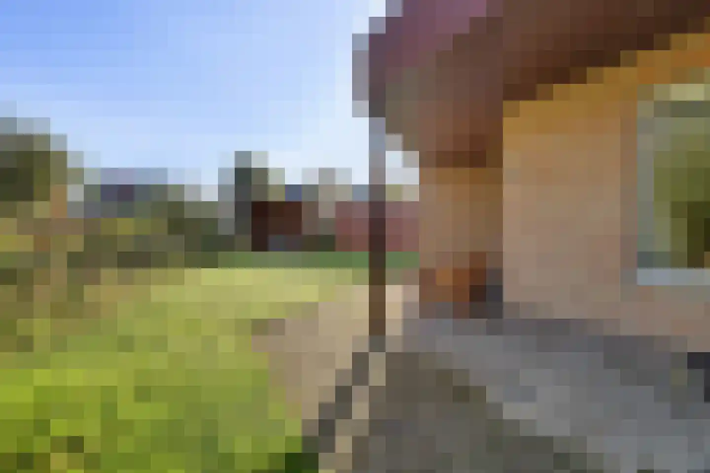 Ratelaarstraat 5 Goes thumbnail 28