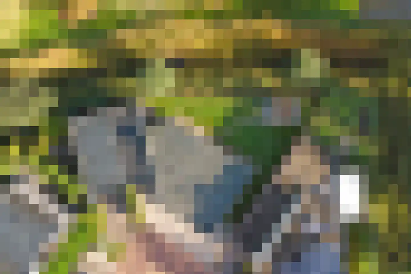 Ratelaarstraat 5 Goes thumbnail 37