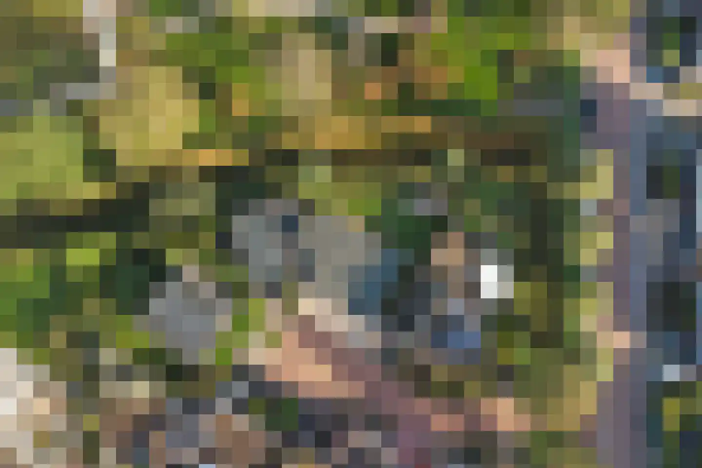 Ratelaarstraat 5 Goes thumbnail 38