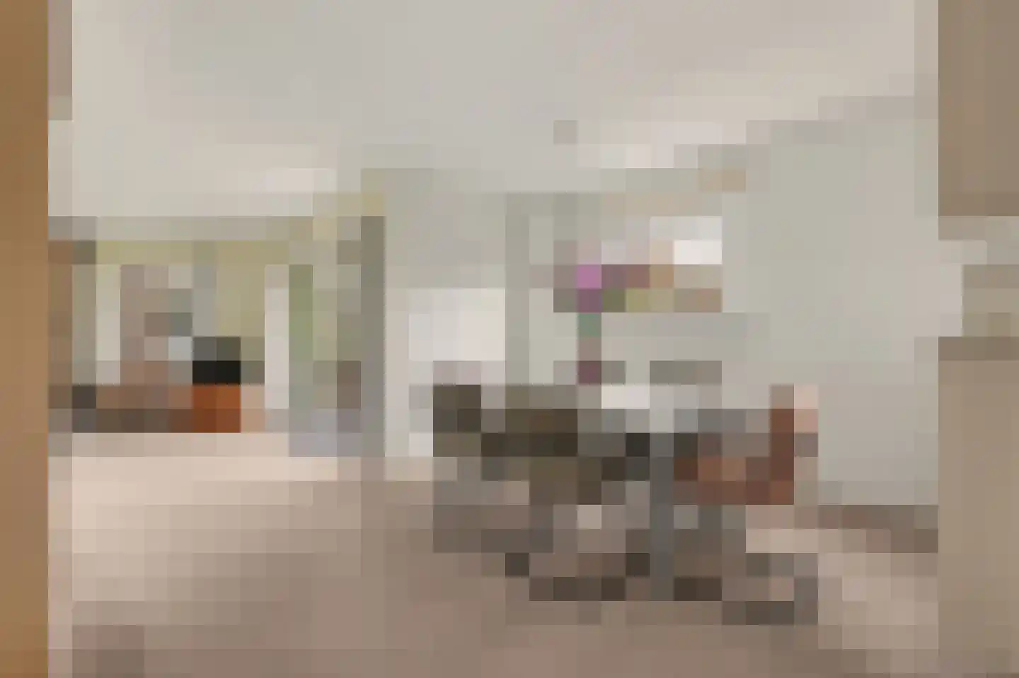Ratelaarstraat 5 Goes thumbnail 4