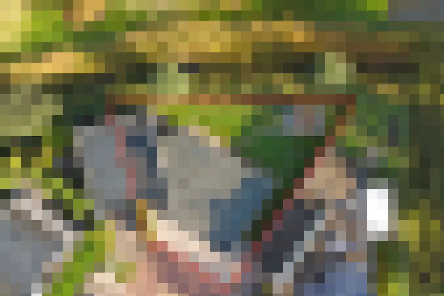 Ratelaarstraat 5 Goes thumbnail 42