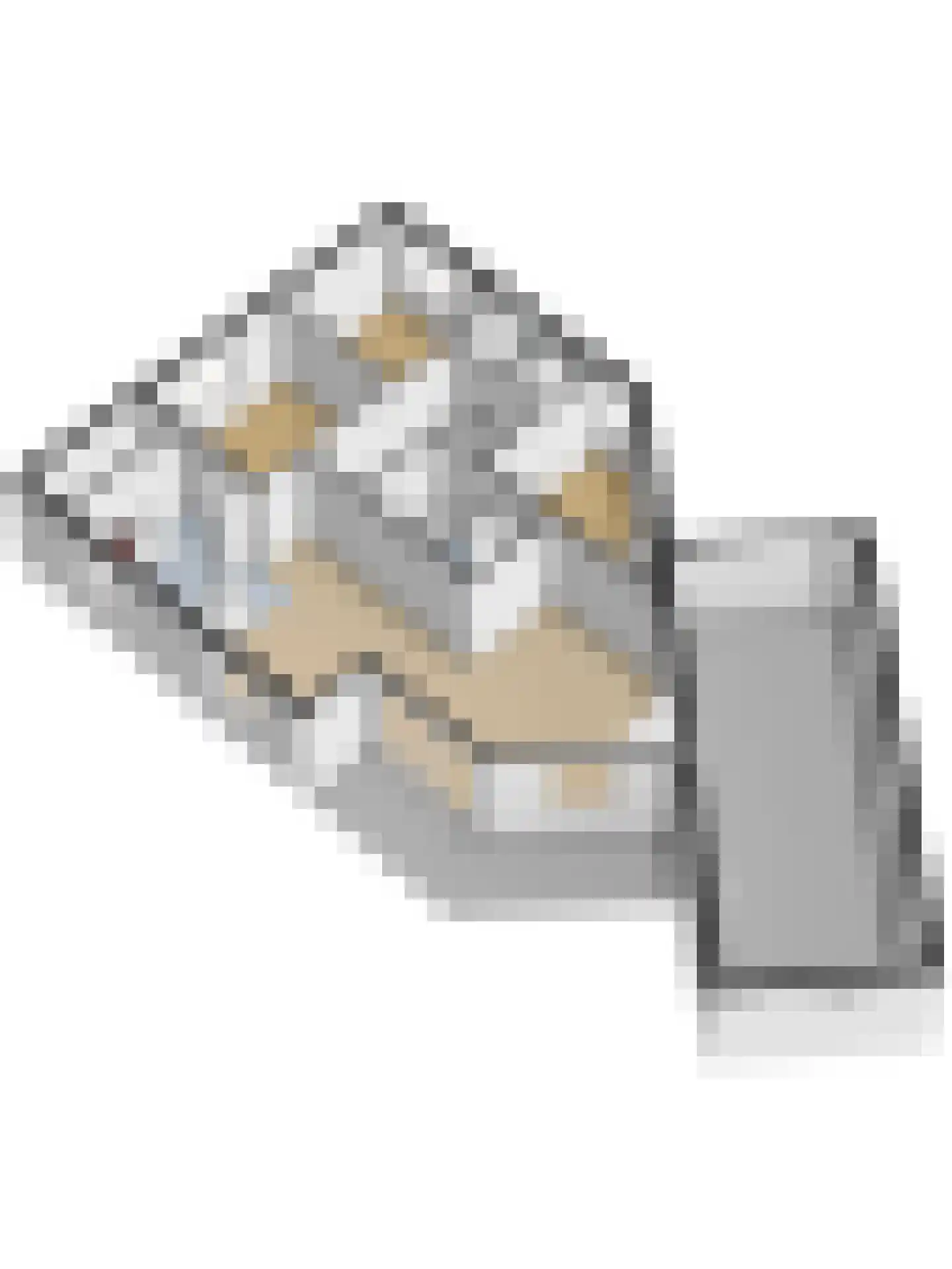 Ratelaarstraat 5 Goes thumbnail 46