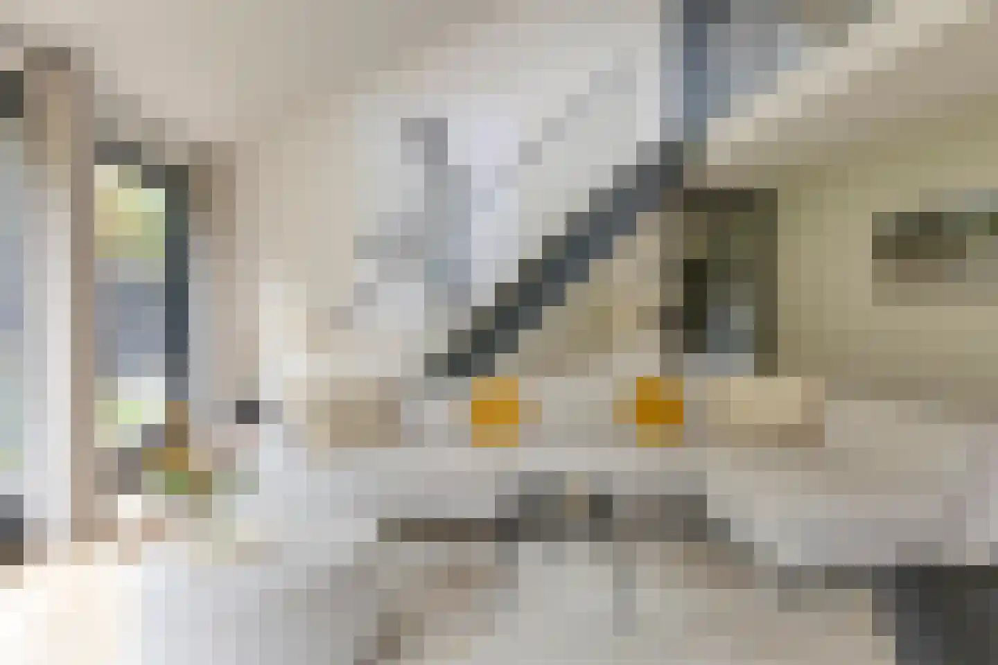Ratelaarweg 2 Bergen (NH) thumbnail 11