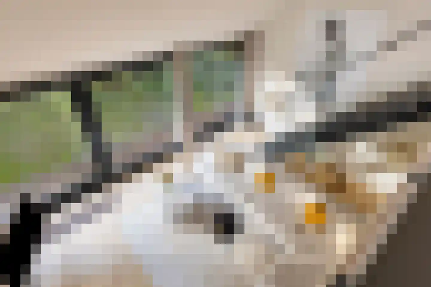 Ratelaarweg 2 Bergen (NH) thumbnail 14