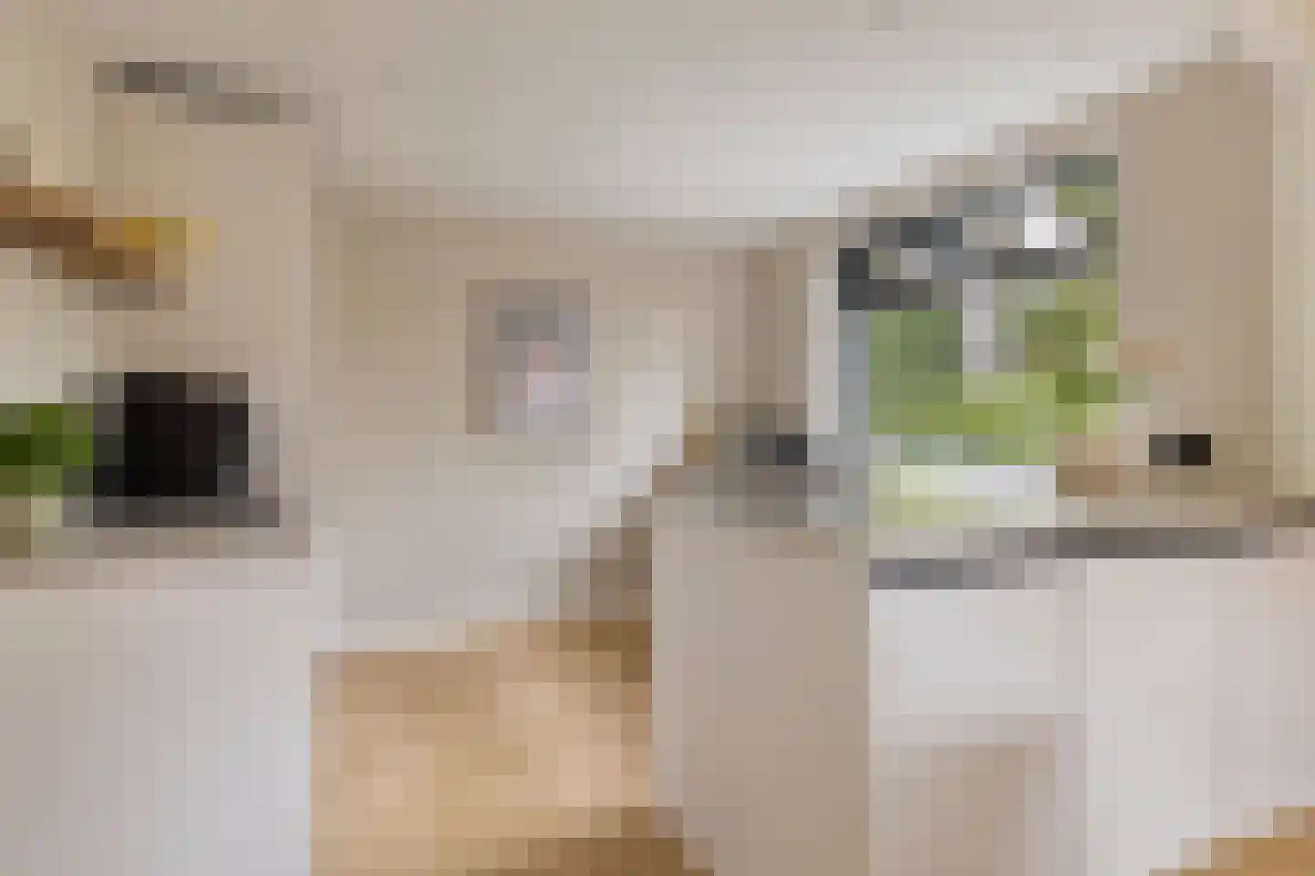 Ratelaarweg 2 Bergen (NH) thumbnail 17