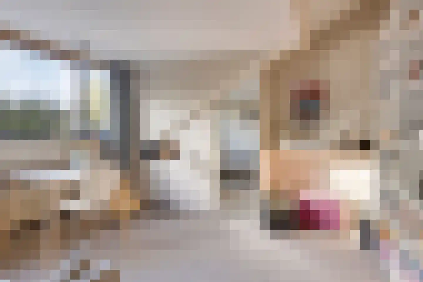Ratelaarweg 2 Bergen (NH) thumbnail 32
