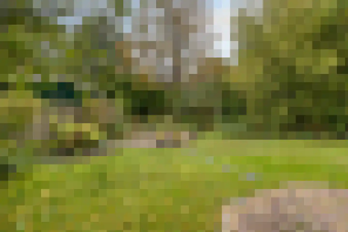 Ratelaarweg 2 Bergen (NH) thumbnail 37
