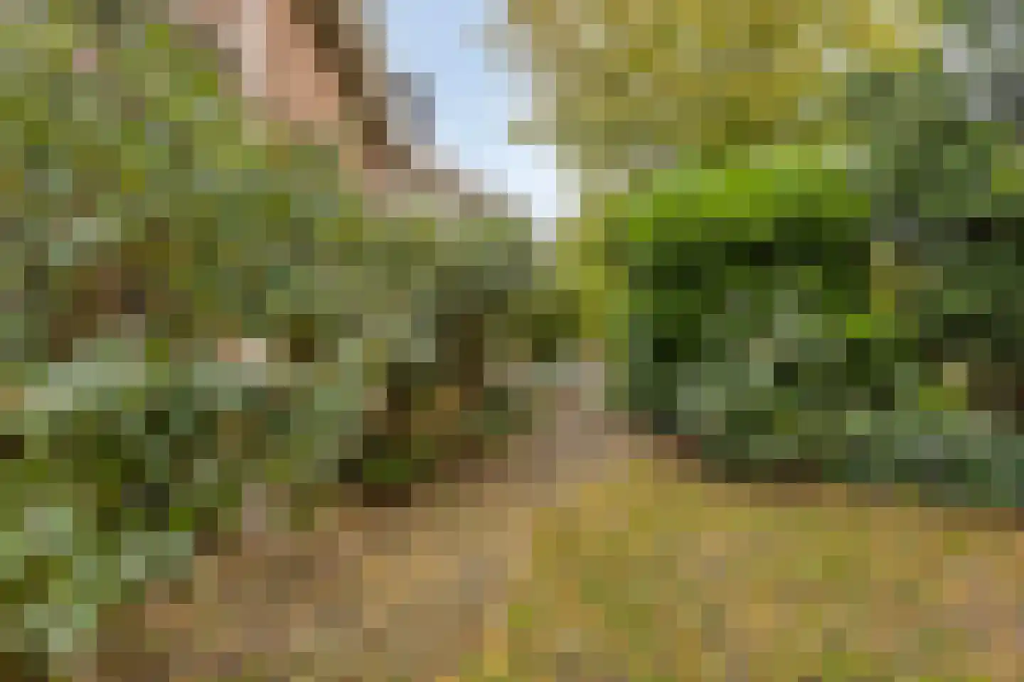 Ratelaarweg 2 Bergen (NH) thumbnail 39