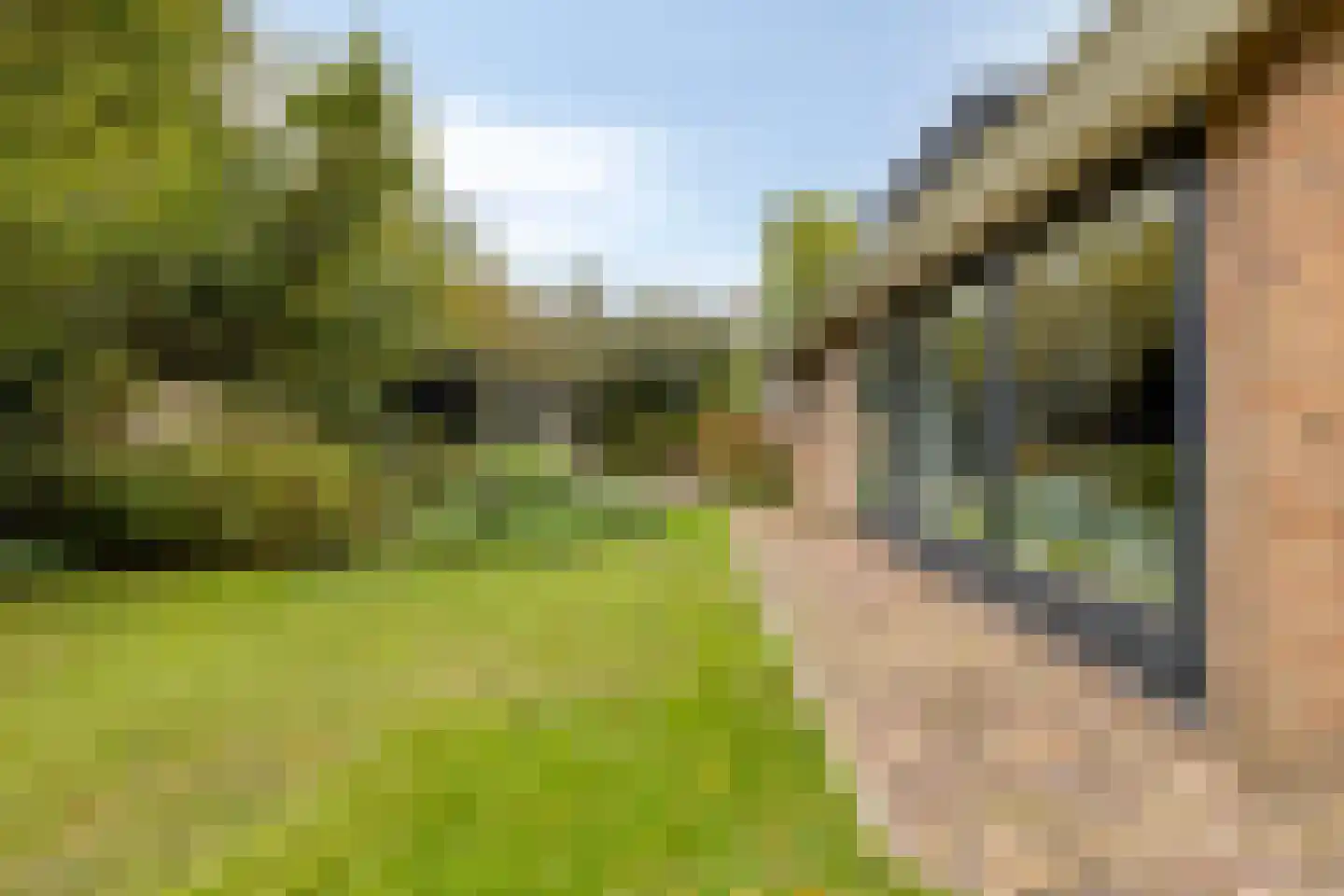 Ratelaarweg 2 Bergen (NH) thumbnail 40