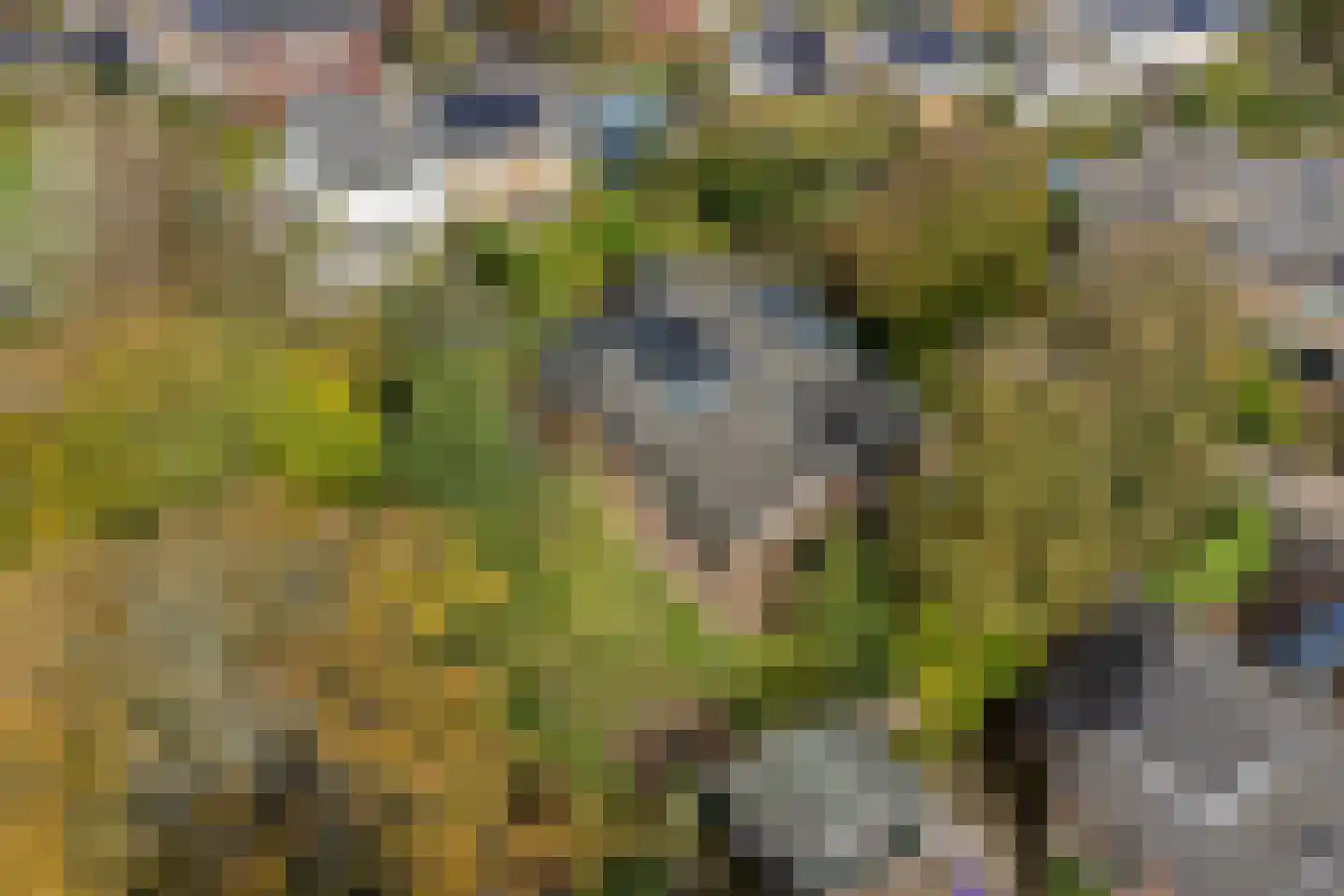 Ratelaarweg 2 Bergen (NH) thumbnail 42