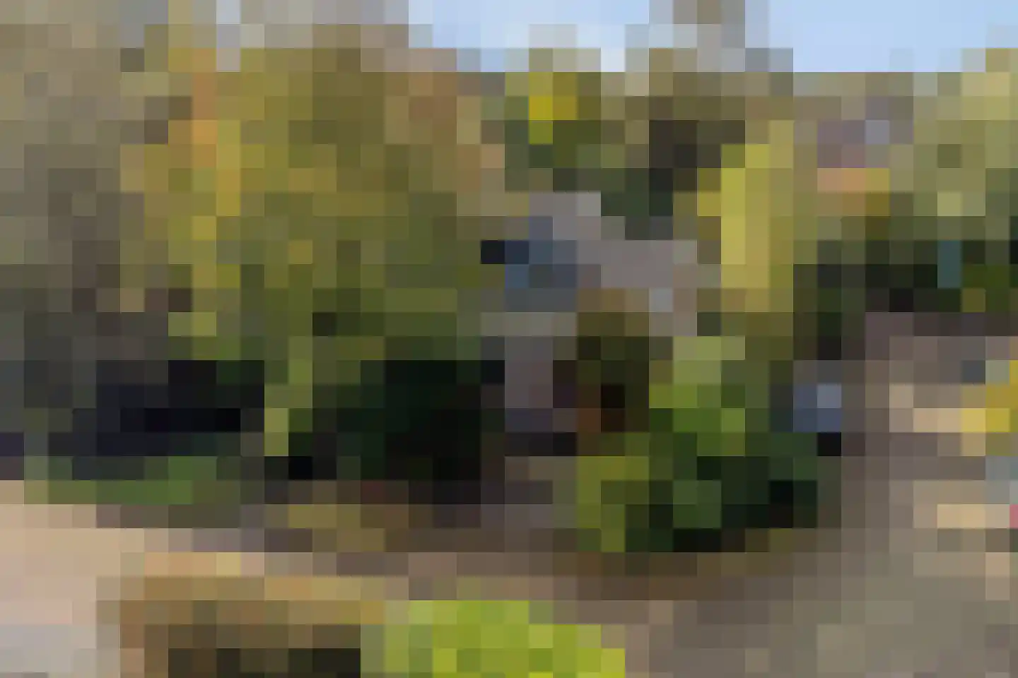 Ratelaarweg 2 Bergen (NH) thumbnail 6