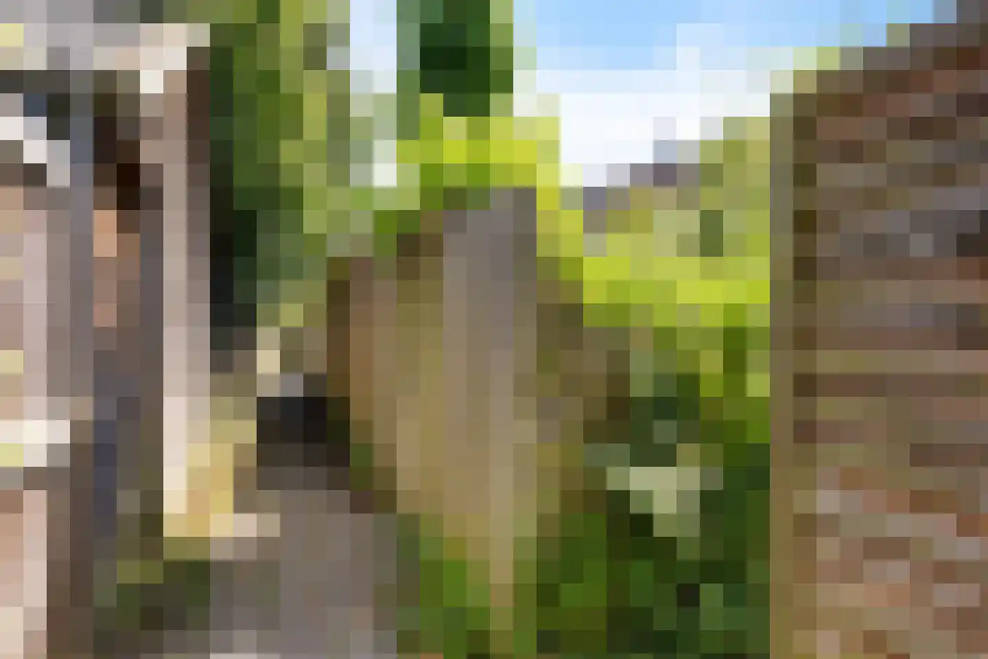 Ratelaarweg 37 Haren Gn thumbnail 29