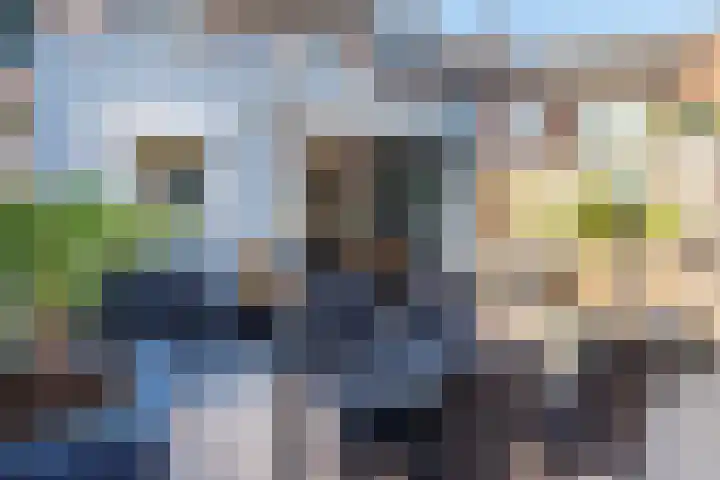 Ratelwacht 19 Beuningen Gld thumbnail 31