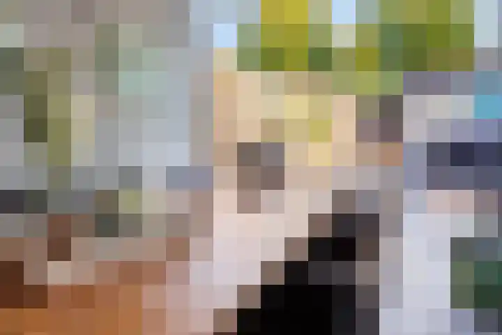 Ratelwacht 19 Beuningen Gld thumbnail 32