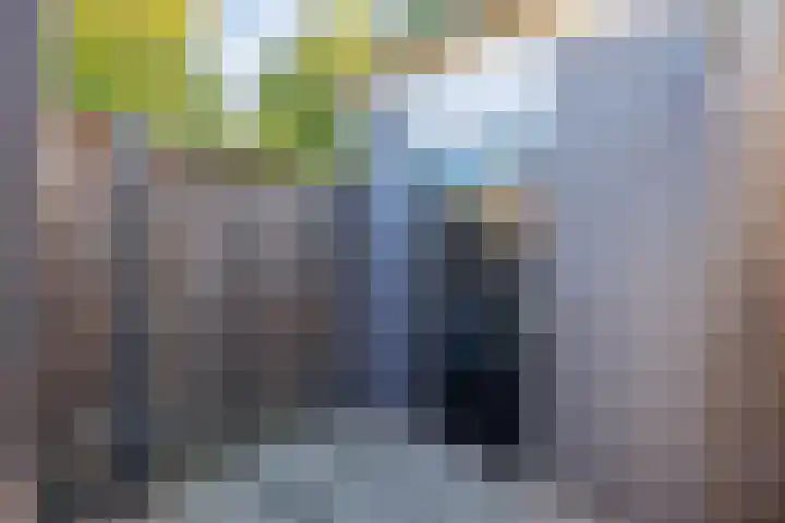 Ratelwacht 19 Beuningen Gld thumbnail 35