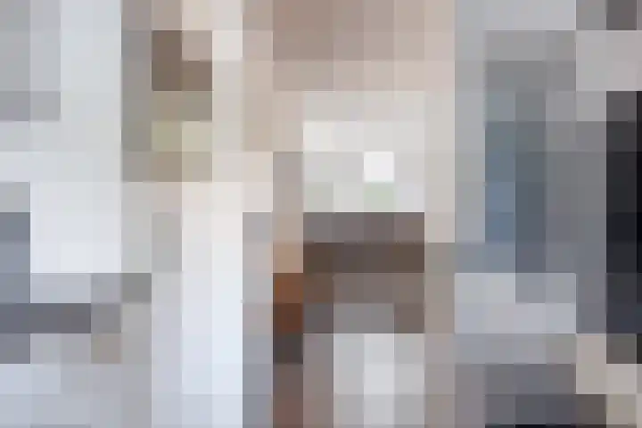 Ratelwacht 19 Beuningen Gld thumbnail 9
