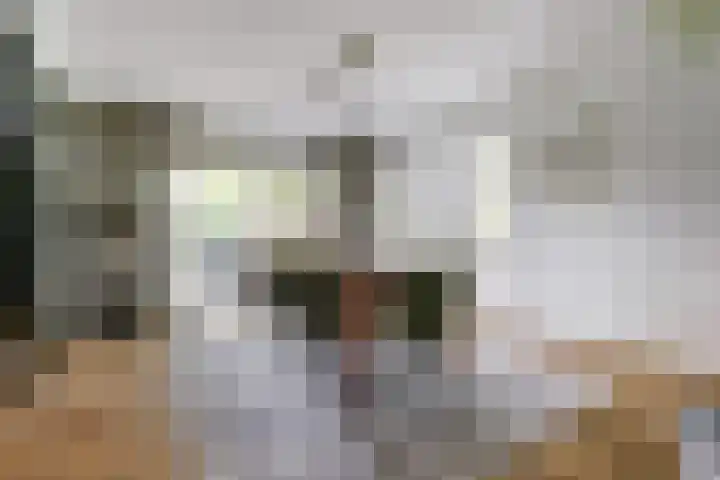 Ratelwacht 33 Beuningen Gld thumbnail 10