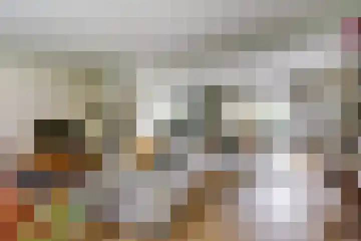 Ratelwacht 33 Beuningen Gld thumbnail 11