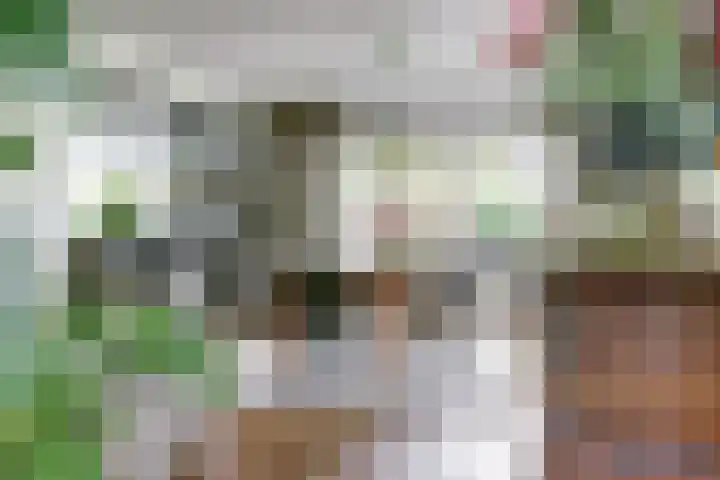 Ratelwacht 33 Beuningen Gld thumbnail 12