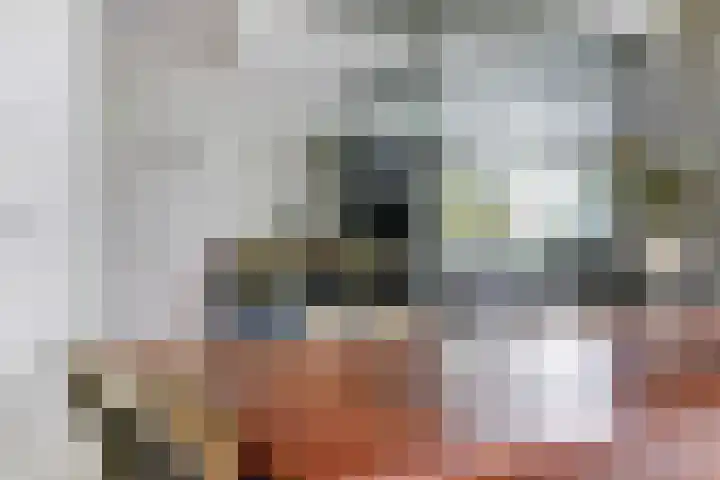 Ratelwacht 33 Beuningen Gld thumbnail 13