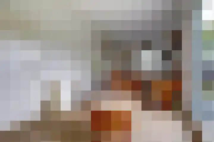 Ratelwacht 33 Beuningen Gld thumbnail 21