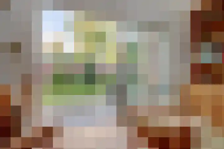 Ratelwacht 33 Beuningen Gld thumbnail 22