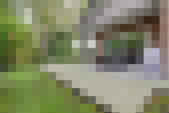 Ratelwacht 33 Beuningen Gld thumbnail 25