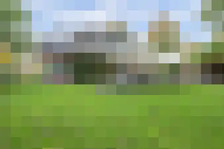 Ratelwacht 33 Beuningen Gld thumbnail 26