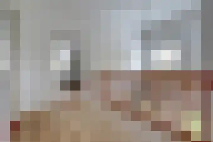 Ratelwacht 33 Beuningen Gld thumbnail 32