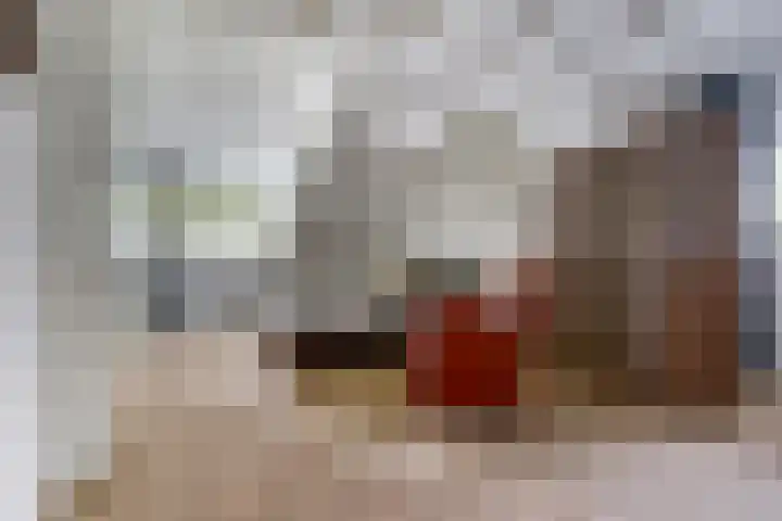 Ratelwacht 33 Beuningen Gld thumbnail 33