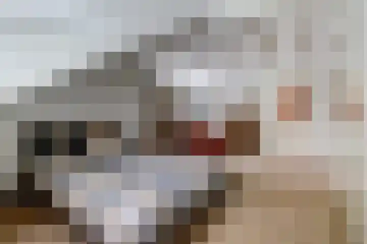 Ratelwacht 33 Beuningen Gld thumbnail 34