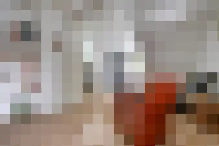 Ratelwacht 33 Beuningen Gld thumbnail 35