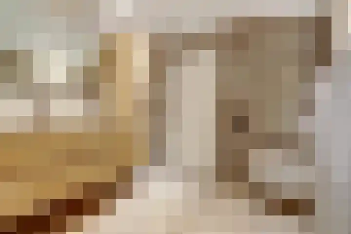 Ratelwacht 33 Beuningen Gld thumbnail 37