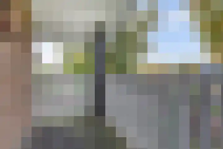 Ratelwacht 33 Beuningen Gld thumbnail 43