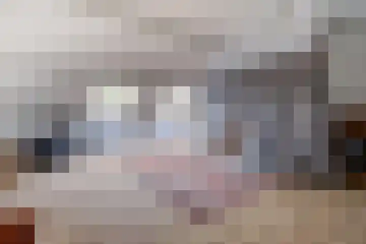 Ratelwacht 33 Beuningen Gld thumbnail 46