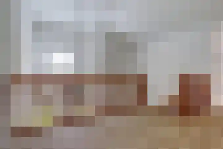 Ratelwacht 33 Beuningen Gld thumbnail 47