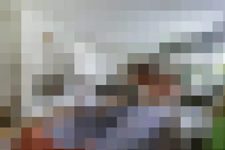 Ratelwacht 33 Beuningen Gld thumbnail 5