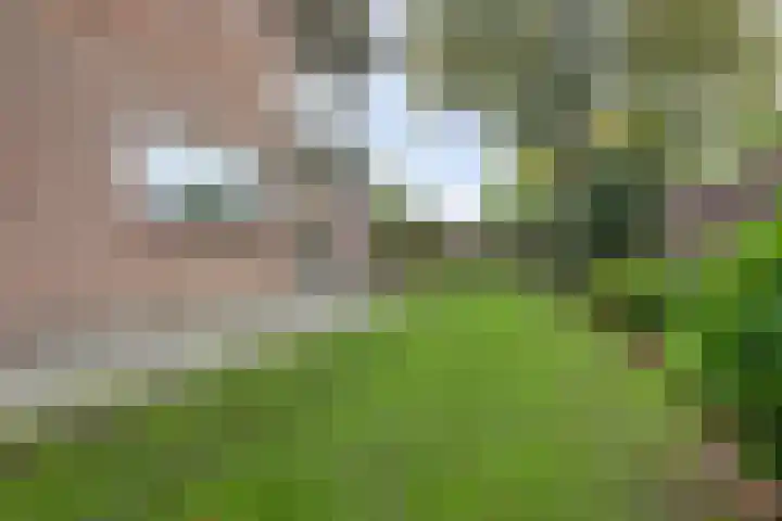 Ratelwacht 33 Beuningen Gld thumbnail 57