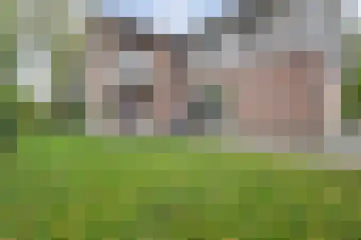 Ratelwacht 33 Beuningen Gld thumbnail 58