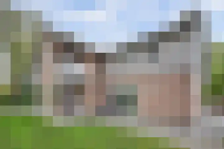 Ratelwacht 33 Beuningen Gld thumbnail 59