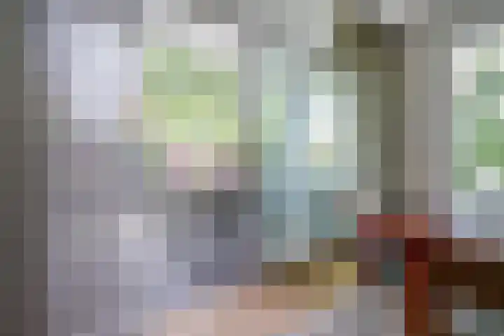 Ratelwacht 33 Beuningen Gld thumbnail 6