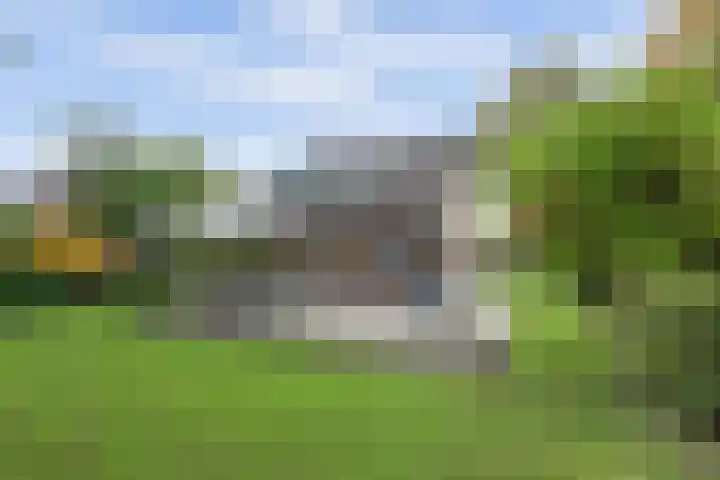 Ratelwacht 33 Beuningen Gld thumbnail 60