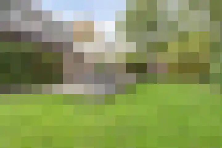 Ratelwacht 33 Beuningen Gld thumbnail 62